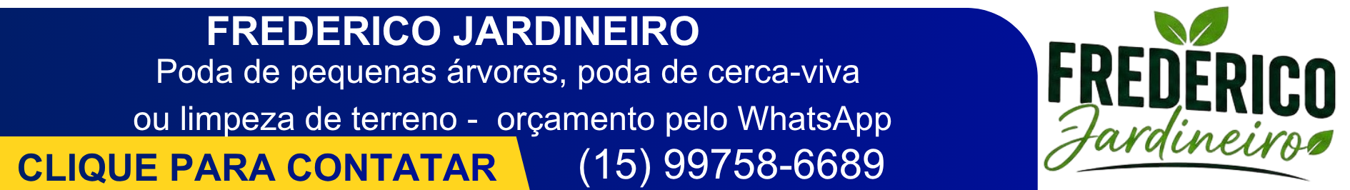 GUIA-ESSENCIAL-1-1 SEVIÇOS GERAIS